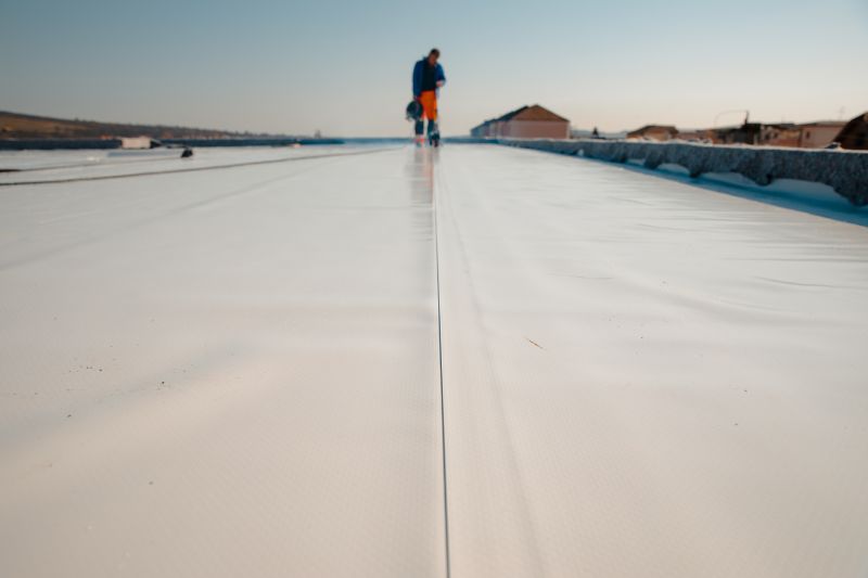 Roof Coatings in Spring